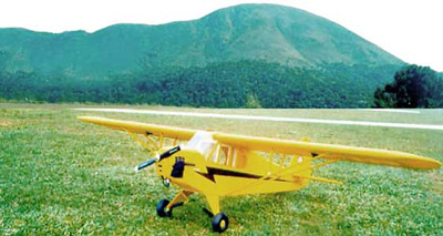 Avi�o